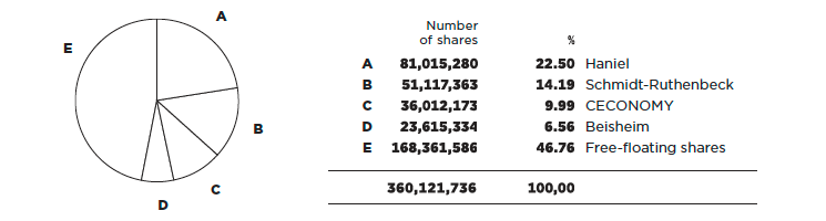 Shareholder structure (pie chart)