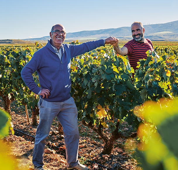 Two men holding hands in vineyard (Photo)