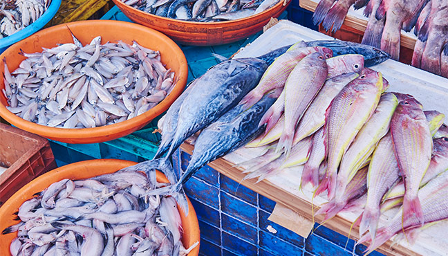 Food product – Fish (photo)