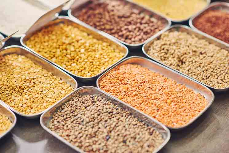 Food product – Grated spices (photo)