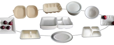 Disposable containers and take-out boxes (photo)